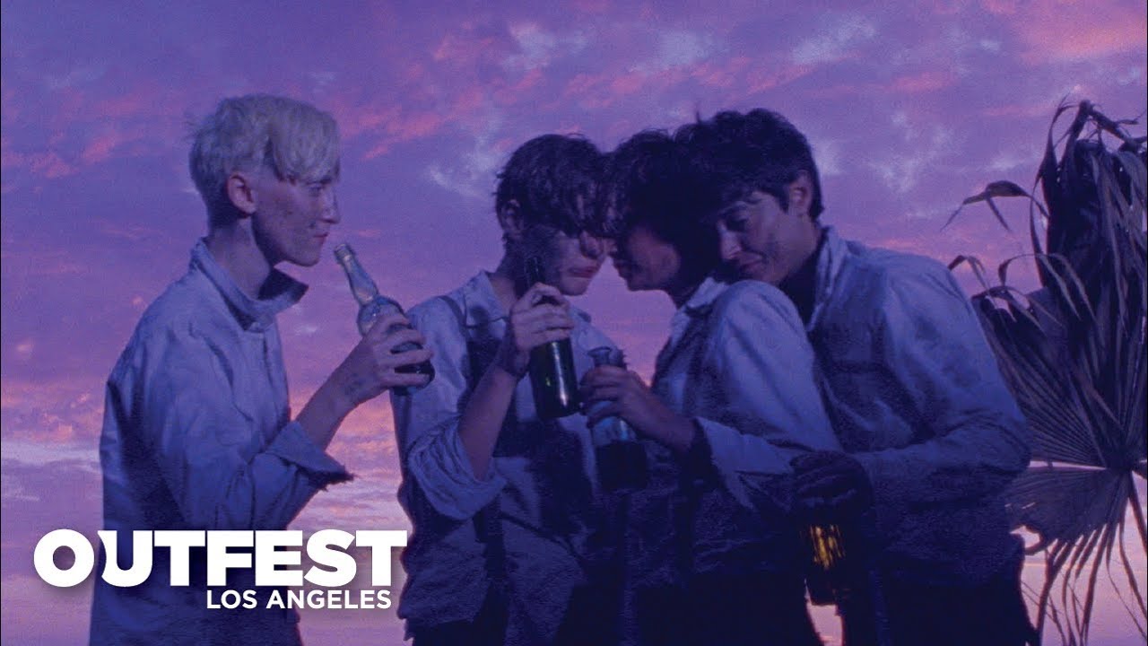 Les Garçons Sauvages